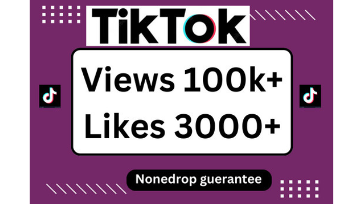 11831I will send you 3000+ TikTok followers 100% real and organic service