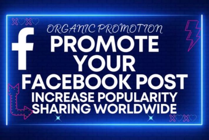 8982Instagram promotion 2500-3000 organic followers