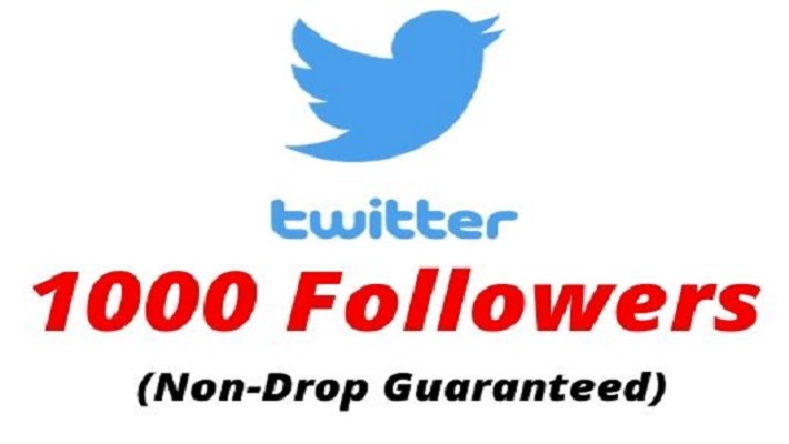 6010Best offer 1000 Youtube Subscribers active user [ lifetime guarantee ]