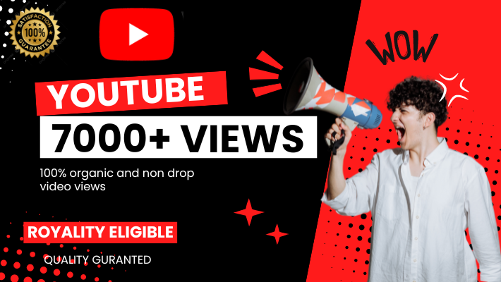 17090Provide 6000+ YouTube views to your video for Lifetime || 100% Organic