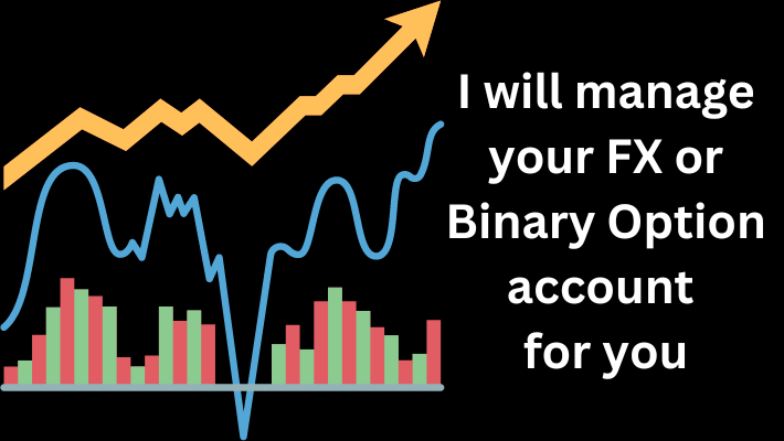 25171Professional Accounting, Bookkeeping, and Financial Reporting Services for Your Business with Tally ERP, QuickBooks, Xero, and Excel