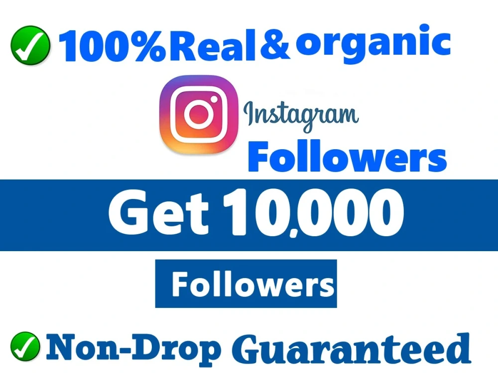 13055Instagram promotion 2500-3000 organic followers