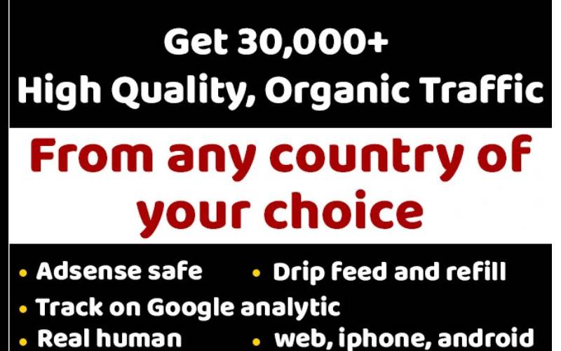 46650I will provide targeted organic web traffic