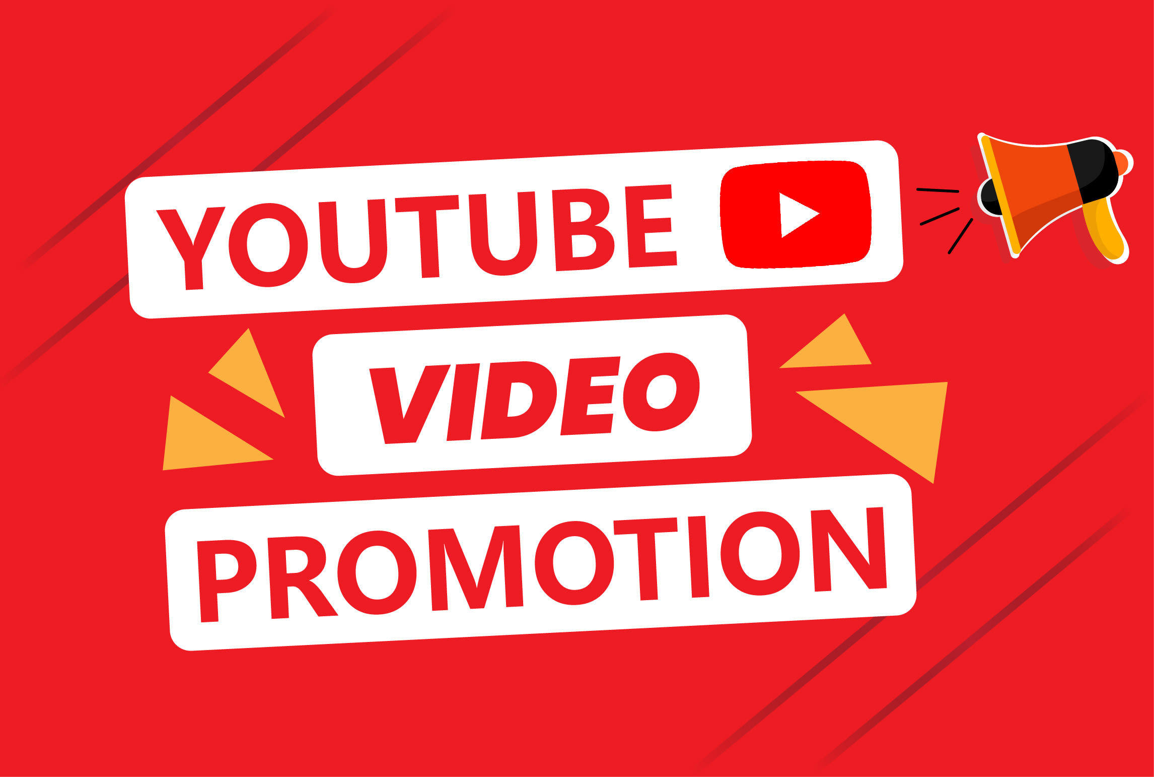 51106I will do organic youtube video promotion to go viral