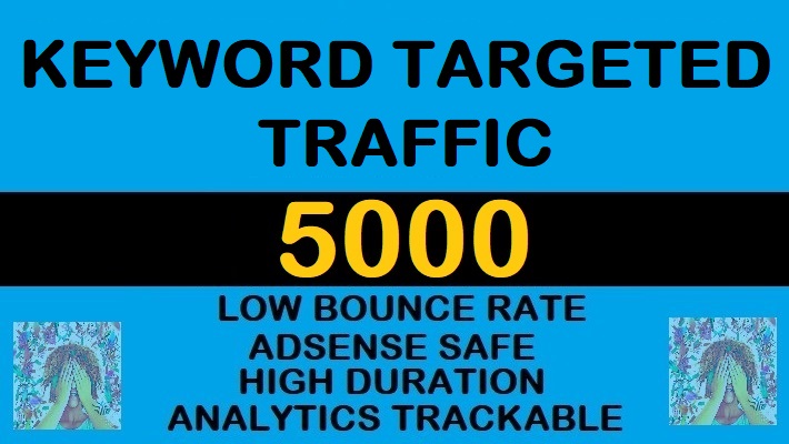 609265000 Keyword Targeted Google Organic Traffic