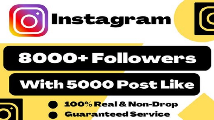 6549Permanent 10,000 Instagram followers Best service