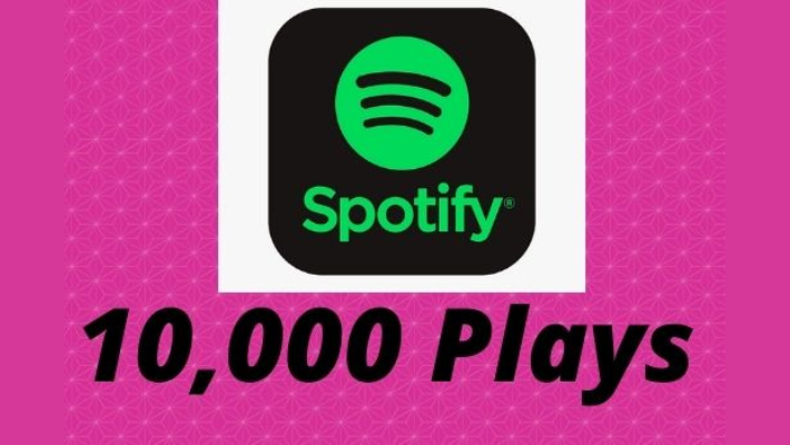 11058provide 5000 Spotify Premium Plays Royalties Eligible