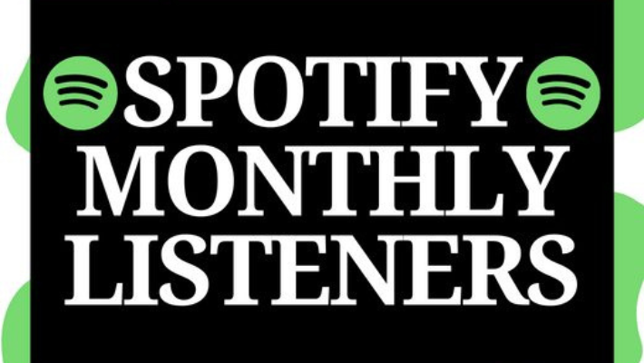 73881000 Monthly Listeners on Spotify, Guarantee