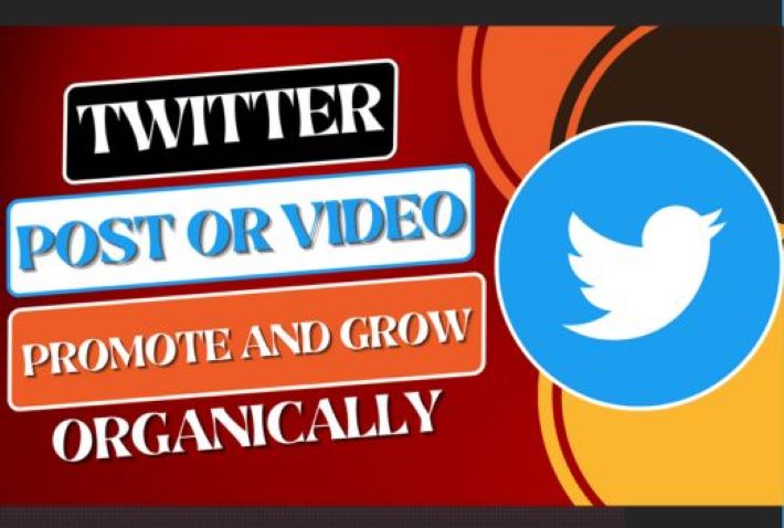 8437You will get X Twitter Followers | Twitter Growth | Twitter Marketing | Twitter Management