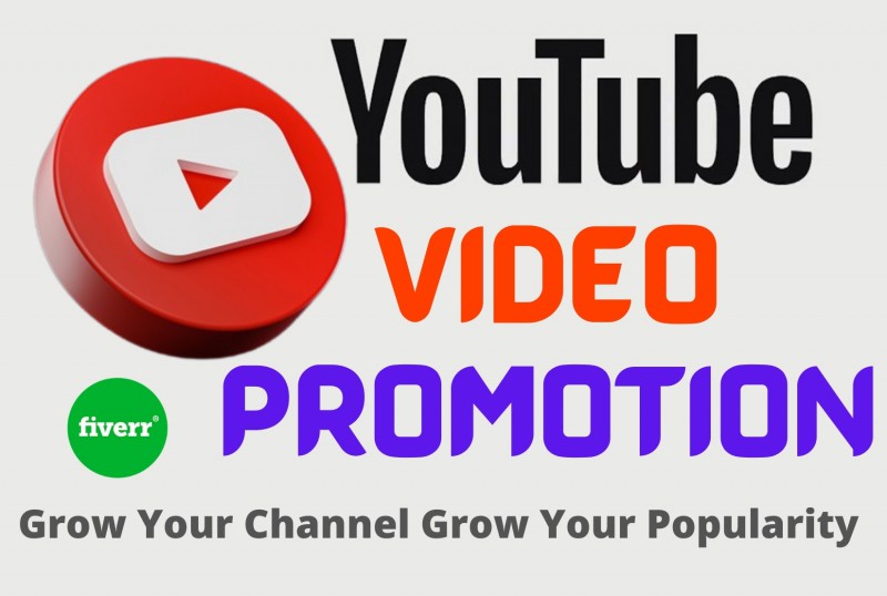 20837I Will Do Youtube Promotion Through Social Media