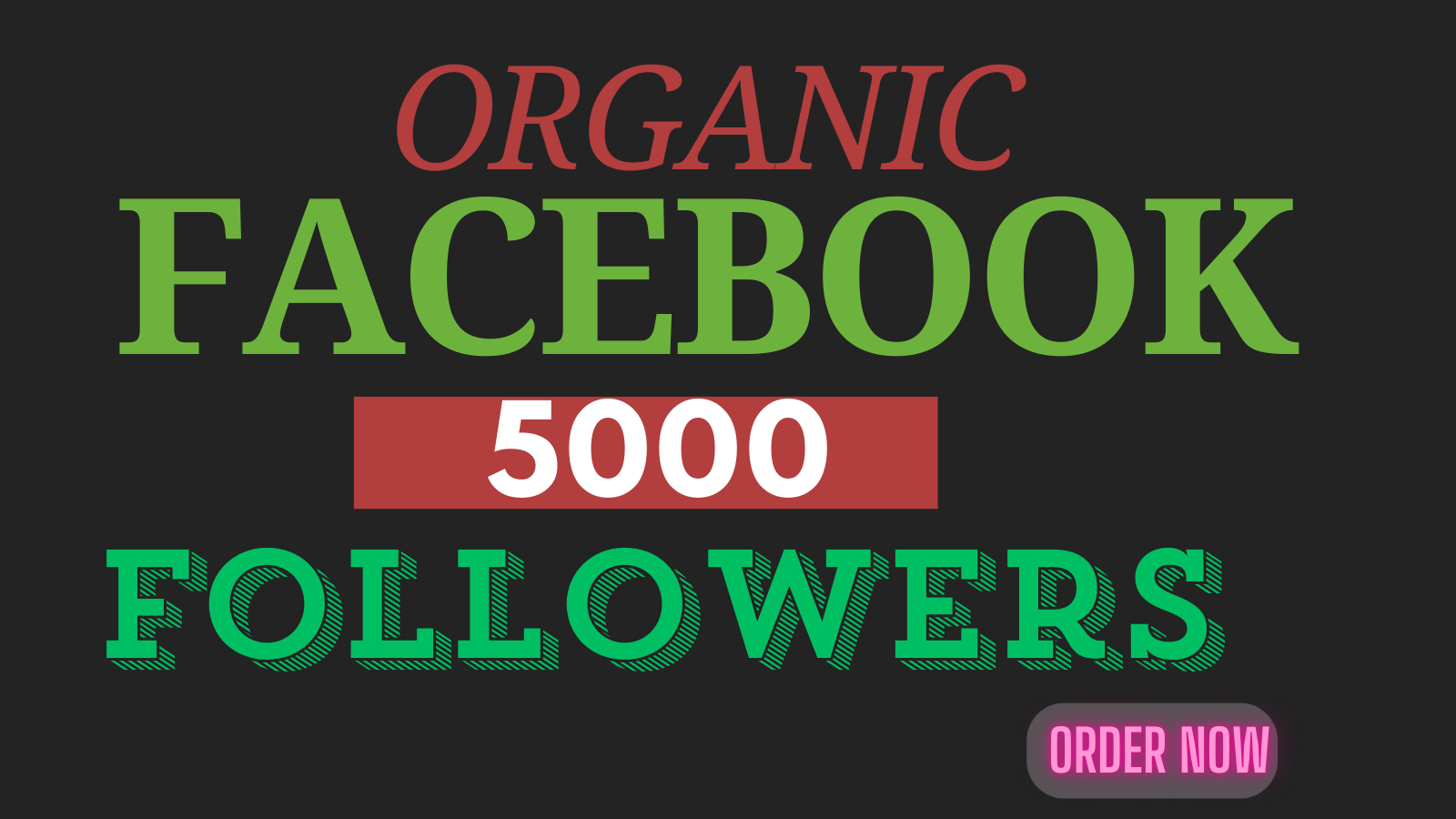 16381Organic facebook followers and real targeted audience