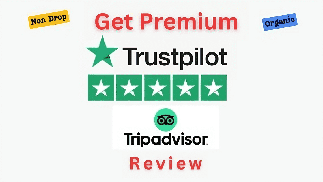 33616Provide 5 High-Quality Verified Reviews on TripAdvisor