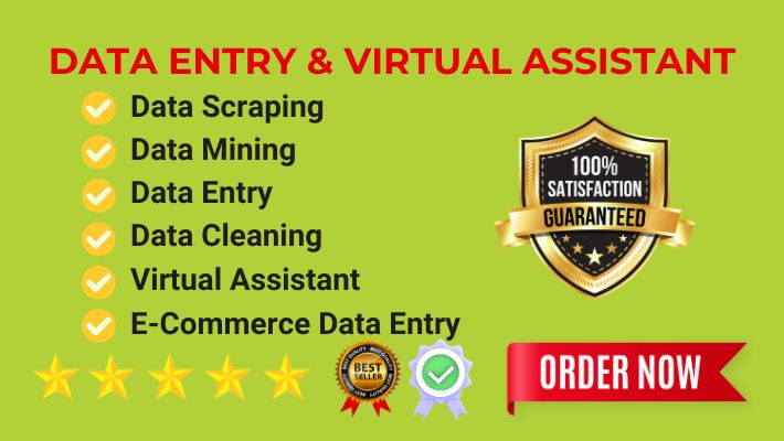 44282I will do data entry, web research, virtual assistant, copy paste, data mining, and virtual assistant