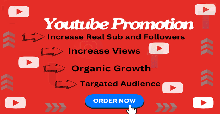 76005I will do organic youtube video promotion for your channel video