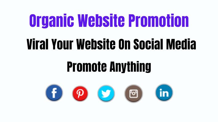 93196I will do organic website promotion for 5 days