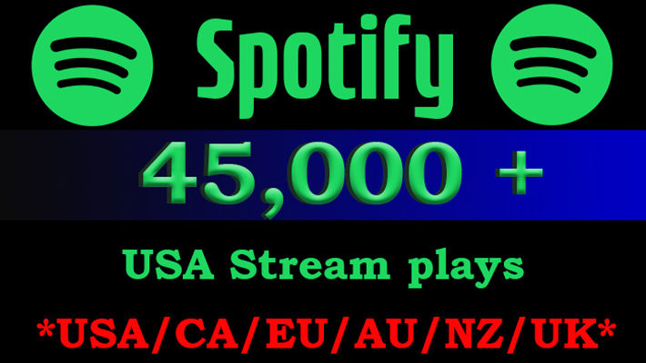 188717I will do ad campaign on meta for your music release
