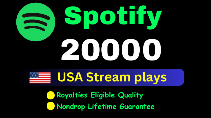189012I will Deliver 40,000 Spotify Plays Form TIER 1 countries HQ Account Royalties Eligible lifetime gourantee.