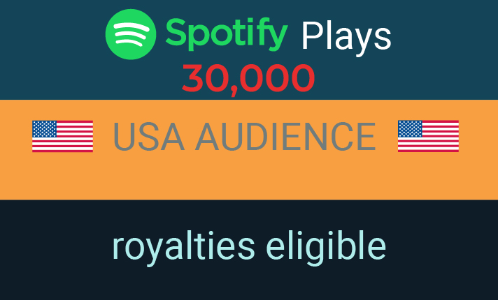 198814I Will Promote Your Spotify Track to Real People