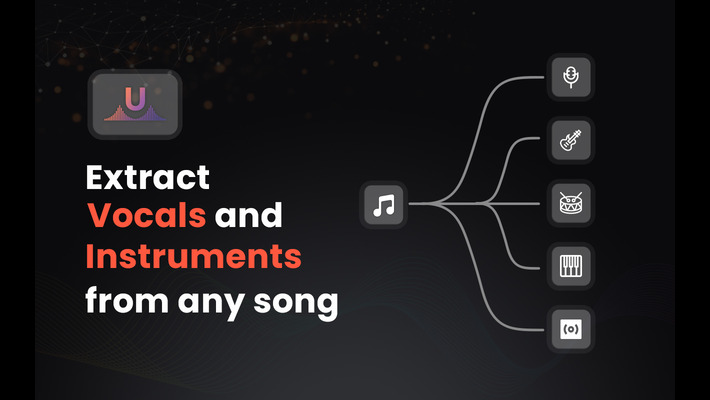 232506I Will Remove Vocals or Extract Instruments from Any Song or Music Video, So you don't Have to