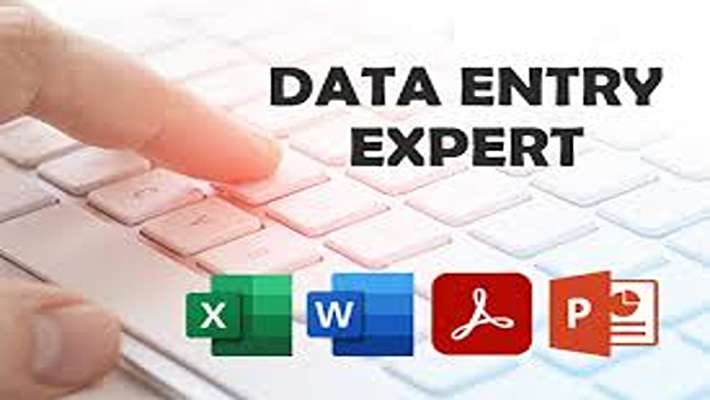 241325Efficient Data Entry Specialist for Accurate, Fast, and Organized Data Management
