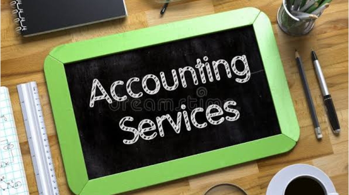 293885“Professional CA Accounting & Bookkeeping Services – Financial Statements in MS Word & Excel”