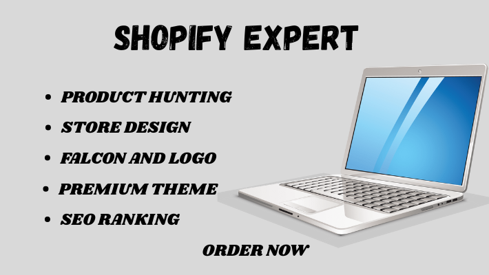 288097Shopify expert