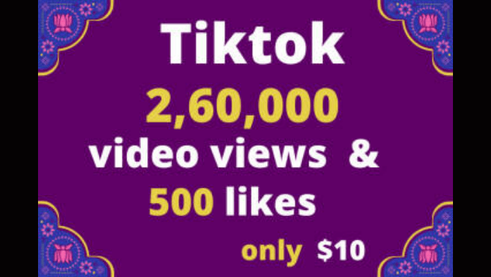 293524I Will Provide 1.5K Tiktok HQ Followers
