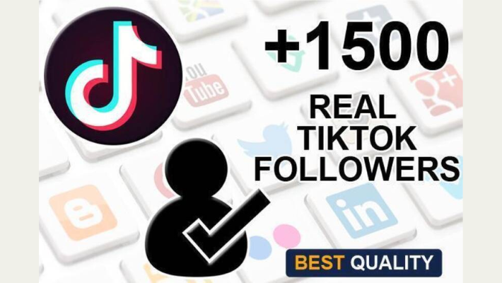 293377I Will Provide 1.5K Tiktok HQ Followers