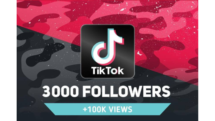 293510I Will Provide 1.5K Tiktok HQ Followers