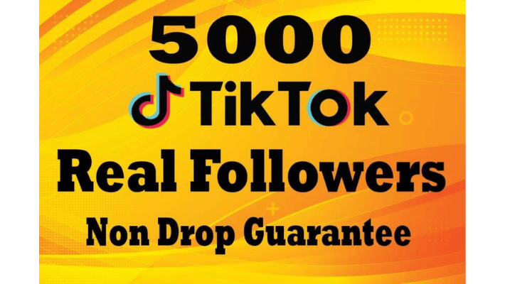 293512I Will Provide 1.5K Tiktok HQ Followers