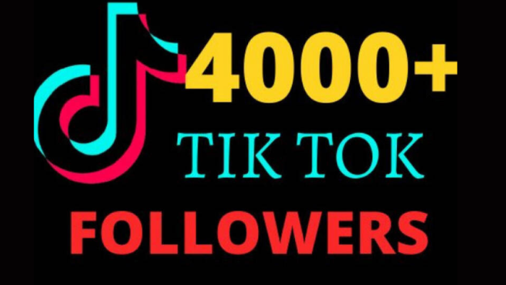 293514I Will Provide 1.5K Tiktok HQ Followers