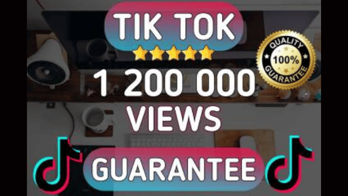 293520I Will Provide 1.5K Tiktok HQ Followers