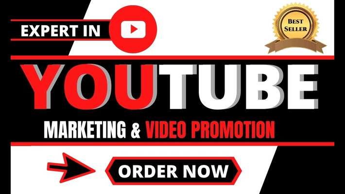 419417I will organically promote soundcloud song to highly curated music community