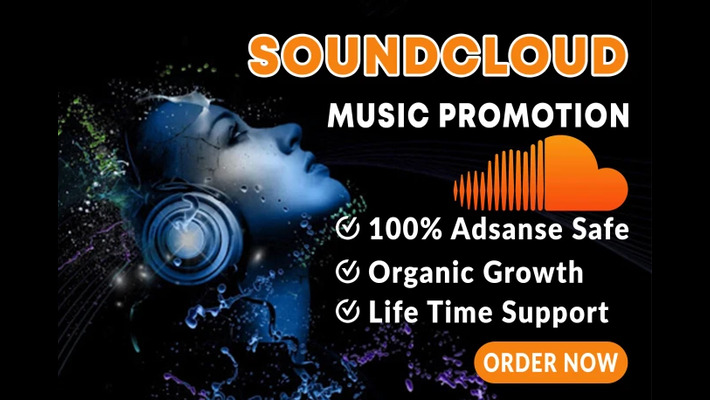 419398I will organically promote soundcloud song to highly curated music community