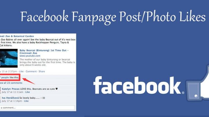 Manually give you 200 USA Facebook Fan page’s Post status videos Likes