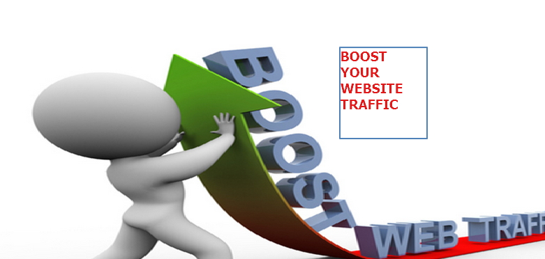 do Real Web traffic visitors from USA, United States