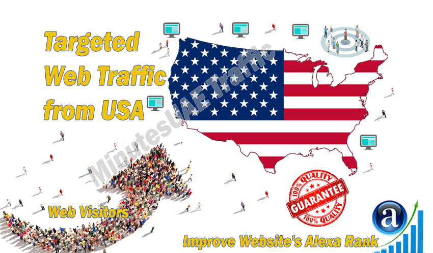 American web visitors real targeted Organic web traffic from USA, United States
