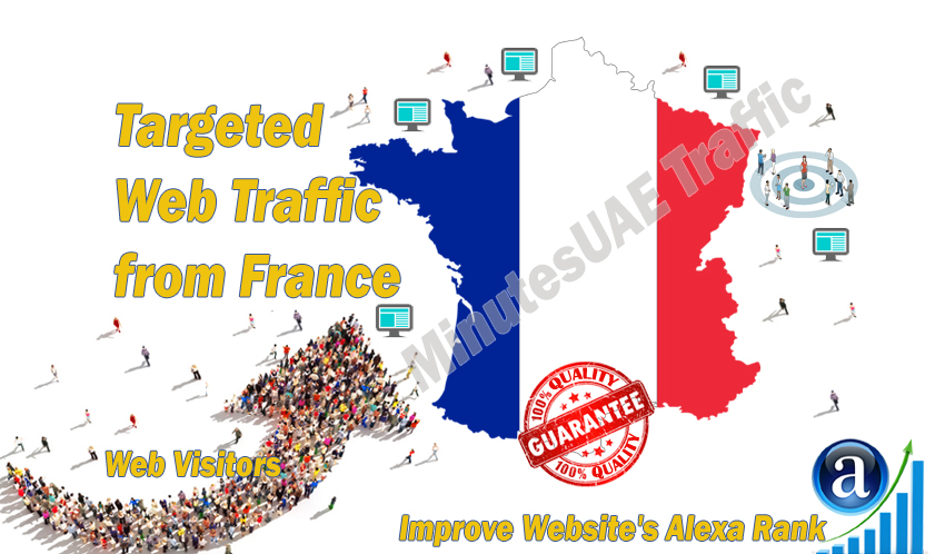 French web visitors real targeted Organic web traffic from France