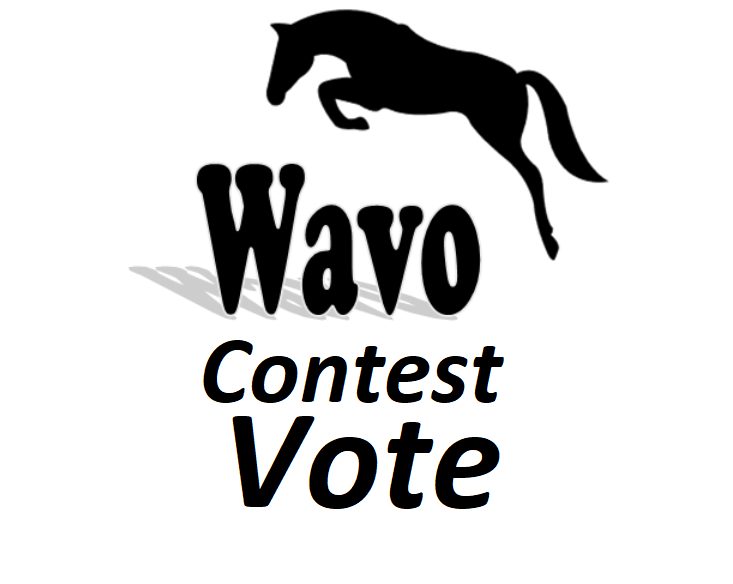 Get offer 40 wavo votes for your WAVO. ME Contest