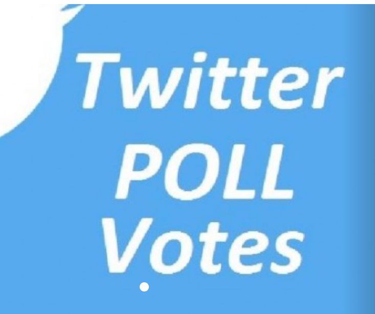 Give you 500 Twitter Poll Votes