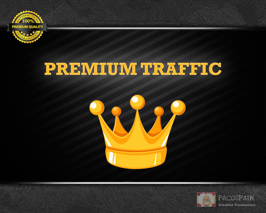 We give you 1000 daily PREMIUM targeted visitors to your site