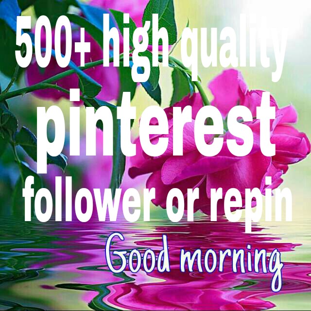 500+ pinterest followers or repin with profile picture and high quality