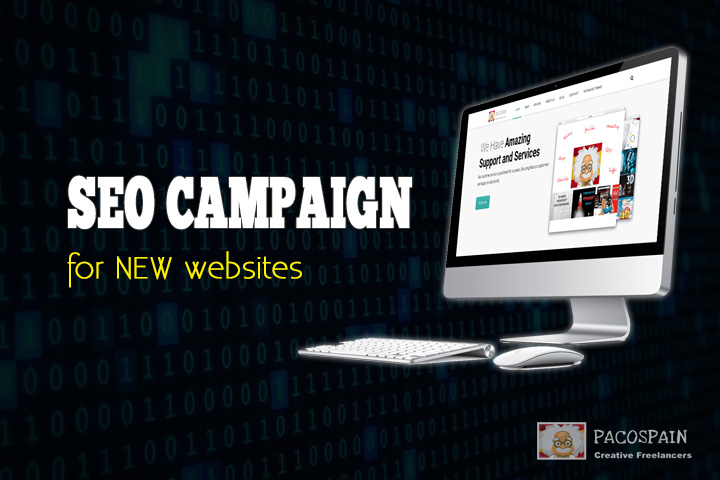 SEO Campaign for NEW Websites – 1st Page Pusher