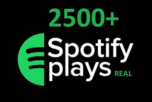 2500+ HQ Spotify Streams For Your Track