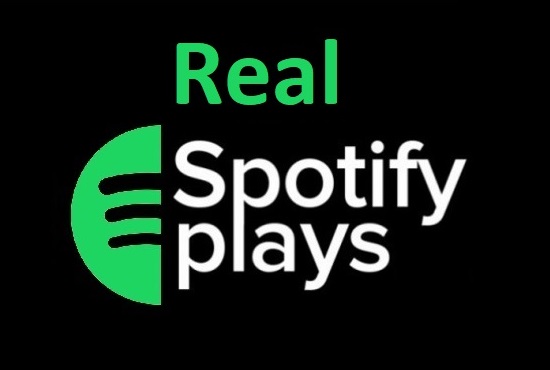 2,000+ Organic Spotify Streams To Your Track
