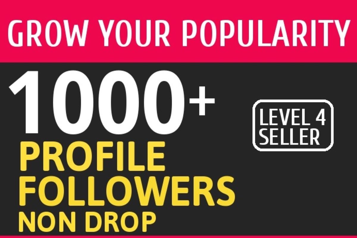 I Will give you Add 1000 High Quality Fast Profile Followers for $15