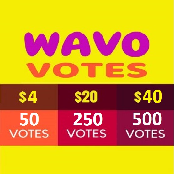 I will provide you non drop wavo votes for your remix contest