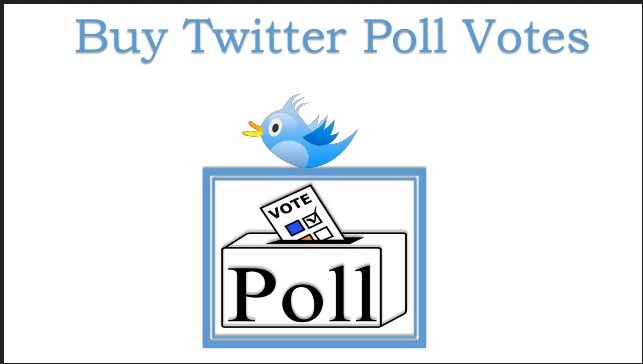 I will Provide 100+ Twitter Votes on Your Twitter Poll Safe Secure Guarantee