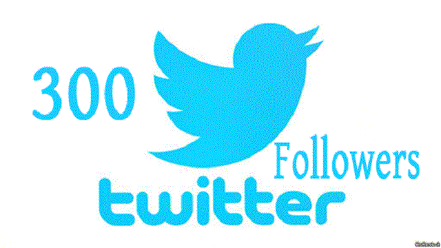 I will add real 300 twitter followers