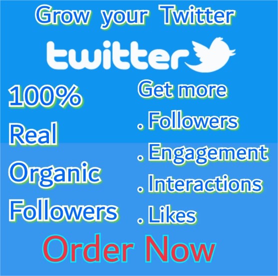 I will do organic twitter growth and promotion Manually